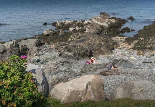 Owls Head Cottage At One Long Beach