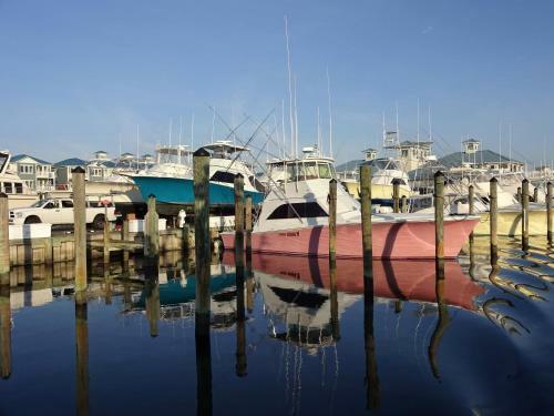 Apartamento New Listing! Corner Condo With Pool, Walk To Beach! Condo