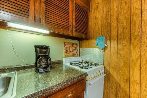 Swallow Falls Cabin #3