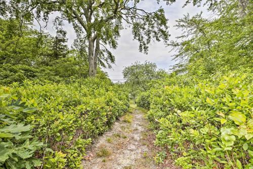 Cape Cod Home With Patio, Grill And Beach Access!