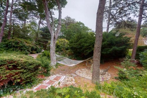 The Grounds