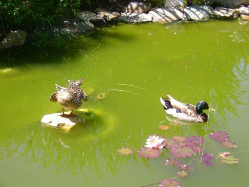 Bed & Breakfast St. Oswalderhof