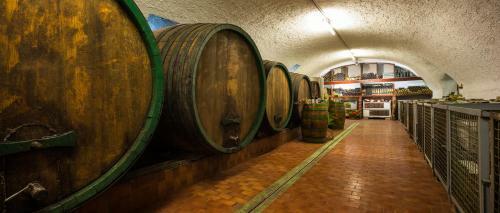 Hostal Haus Martin - Schneeberger