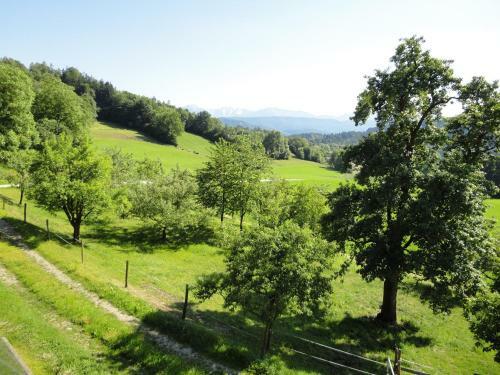 Apartamento Kollehof