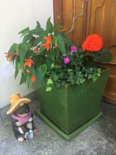 Apartamento Kollehof
