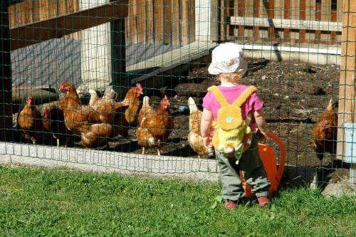 Agroturismo Landhaus Raich