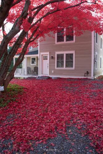 Hostal Restored 1881 Farm House