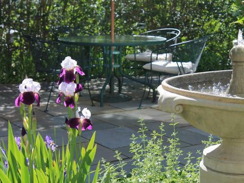 The Beech Tree B&B