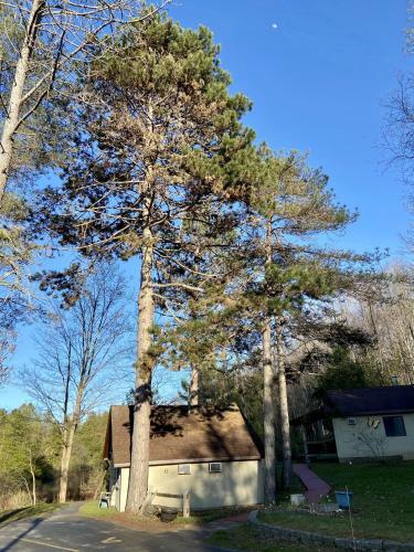 Betsie Riverside Resort