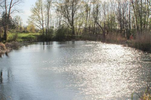 Quiet Cabin With Grill, Pond And Walking Trails!