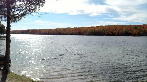 Log Cottage On Blue Lake