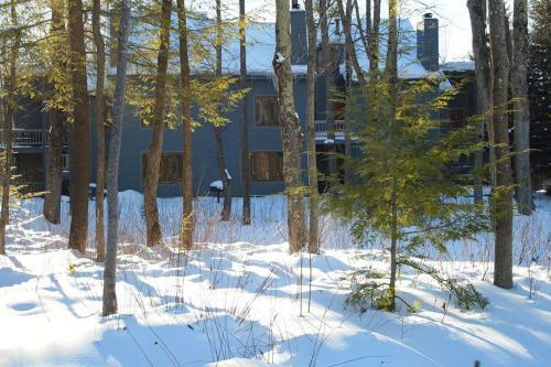 Wintergreen Condos