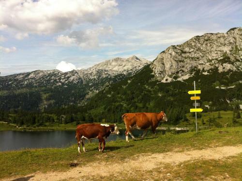 Hostal Pension K�berl