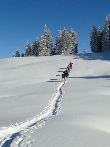 Wander- & Landhotel Kanzler