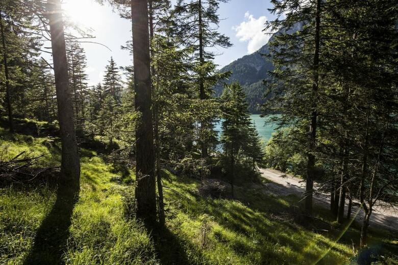 Hotel Fischer Am See