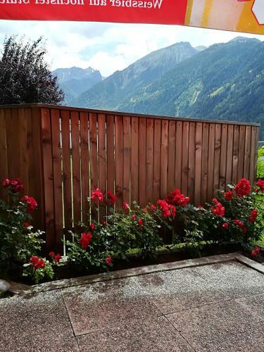 Hostal Haus Brigitte