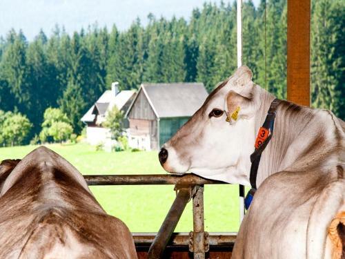 Agroturismo Reithartlhof
