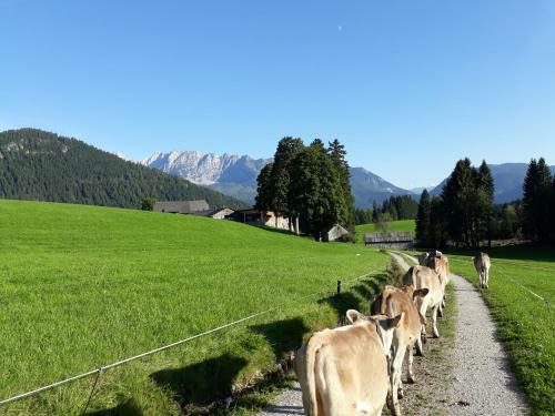 Agroturismo Reithartlhof