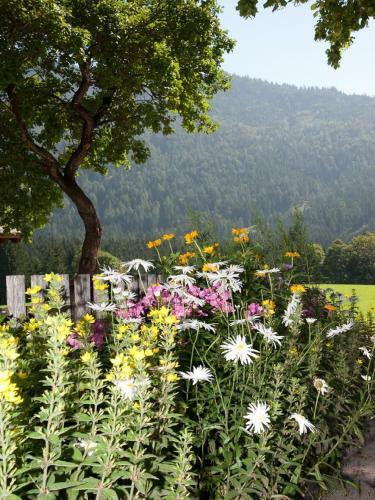 Agroturismo Reithartlhof