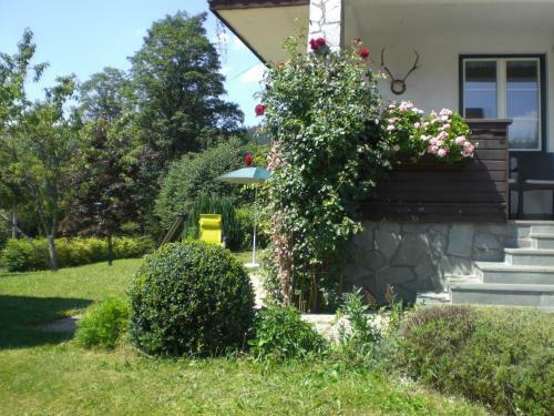 Apartamento Ferienwohnung Sz�ky