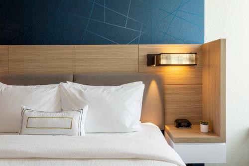 Hotel Springhill Suites Minneapolis Maple Grove/arbor Lakes