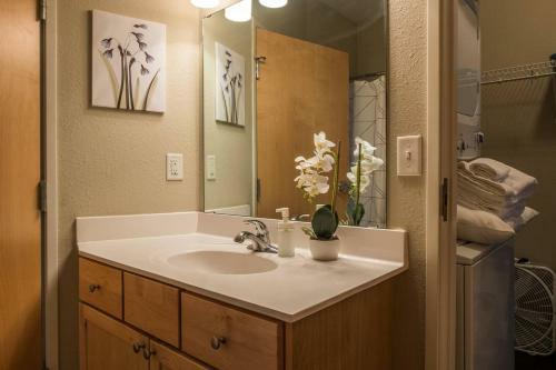 Apartamento 1 Br Apt Near Downtown By Frontdesk