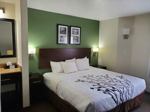 Hotel Sleep Inn Horn Lake-southaven