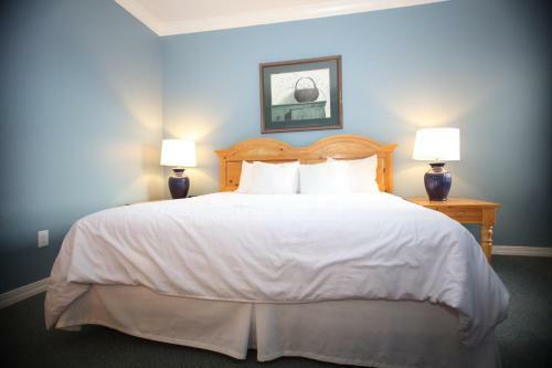 Spinnaker Condo In Heart Of Branson 1br Standard