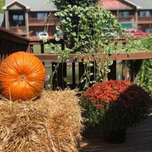 Hotel Bullwinkles Rustic Lodge