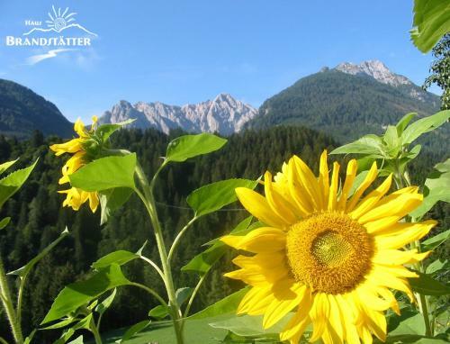 Hostal Haus Brandst�tter