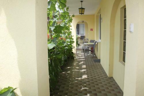 Hostal Pension Peterhof