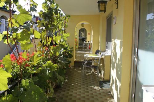 Hostal Pension Peterhof
