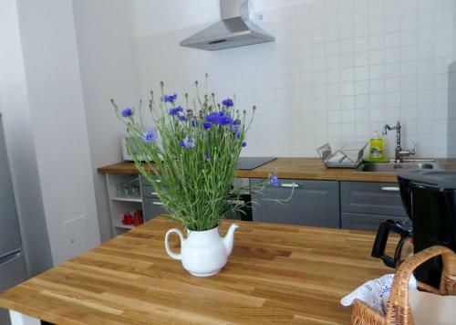 Hostal G�stehaus Elfriede