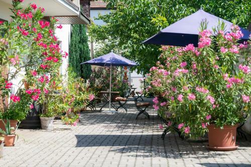 Hostal G�stehaus Elfriede