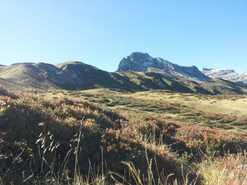 Apartamento Brandst�ttergut