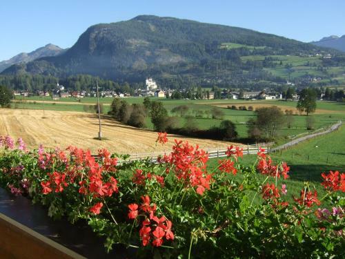 Apartamento Ferienwohnungen Trattner