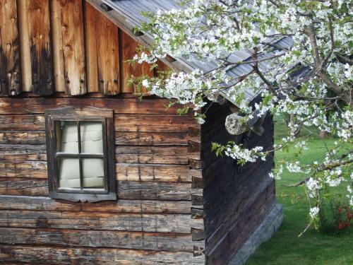 Apartamento Ferienwohnungen Trattner