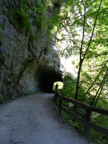 Apartamentos Gasthof Hensle