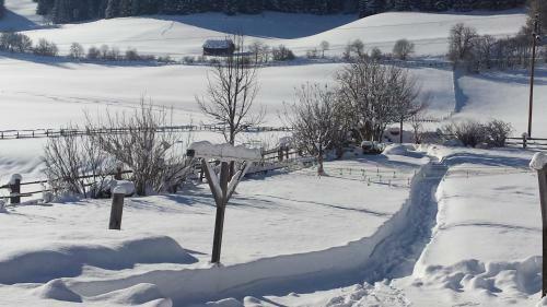 Apartamento Ferienwohnungen Holzer