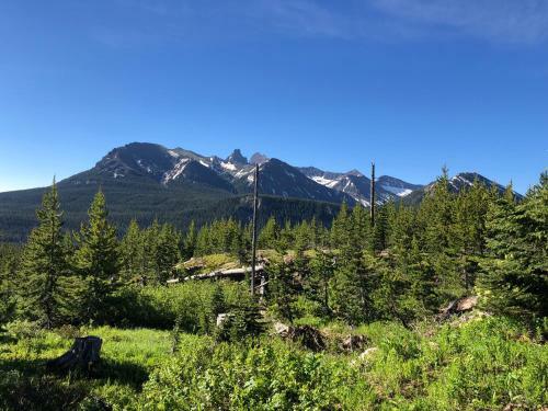 Hotel Antlers Lodge