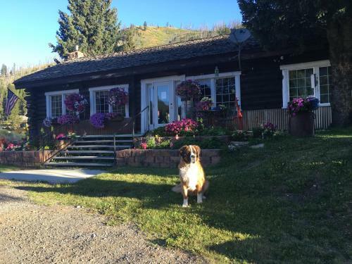 Hotel Antlers Lodge