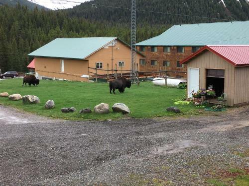Hotel Antlers Lodge