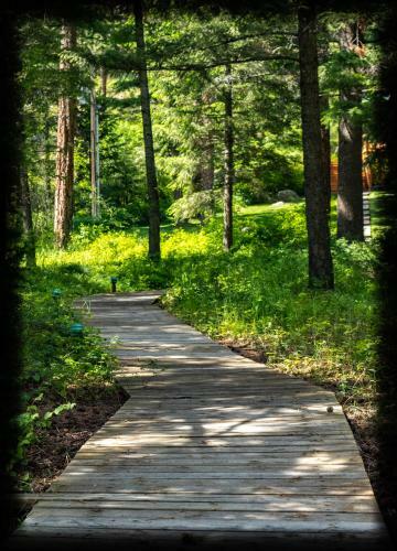 Bear Creek Lodge Ii, Llc
