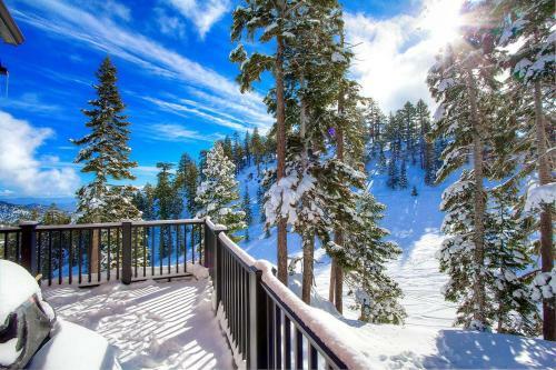 Stage Coach Run By Lake Tahoe Accommodations