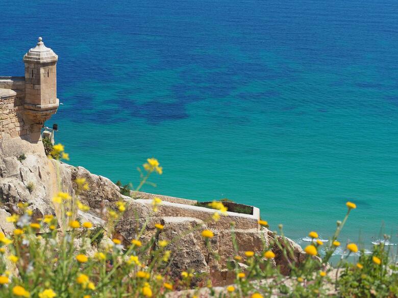 Hotel Meli� Alicante