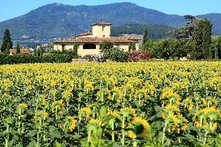 Hotel B4 Firenze Granducato