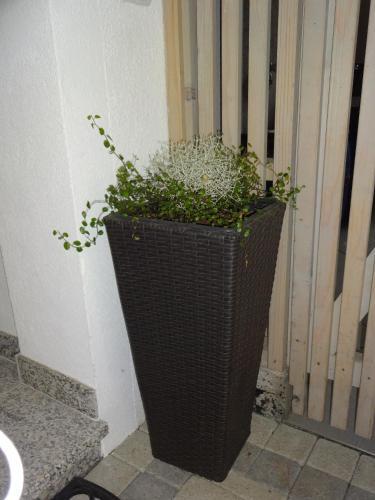 Apartamento Appartement Alexandra