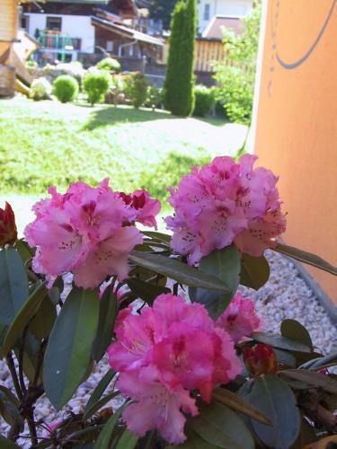 Apartamento Appartement Alexandra