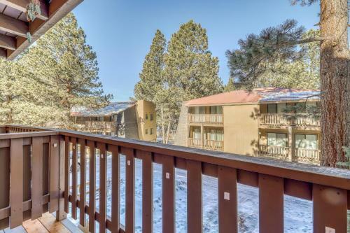 Pine Tree 209