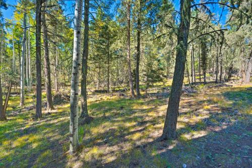 Angel Fire A-frame Less Than 4 Miles To Ski Resort!